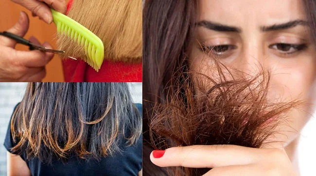 6 mẹo đơn giản giúp ngăn ngừa tóc chẻ ngọn-1.webp