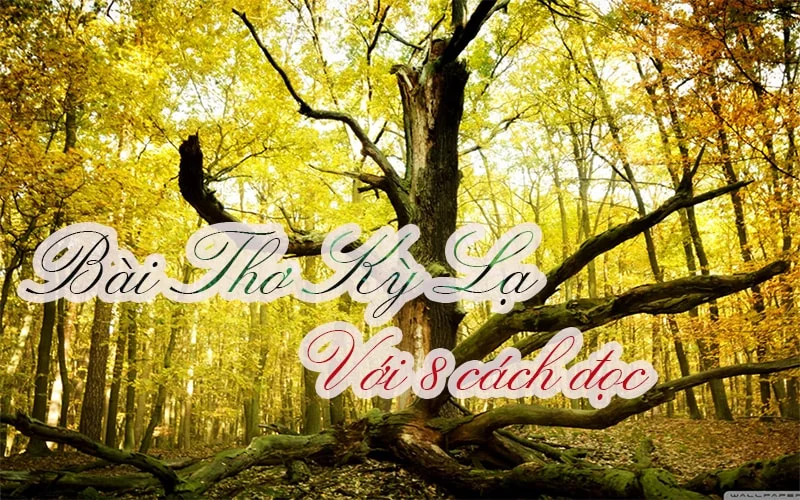 Bài thơ 8 cách đọc