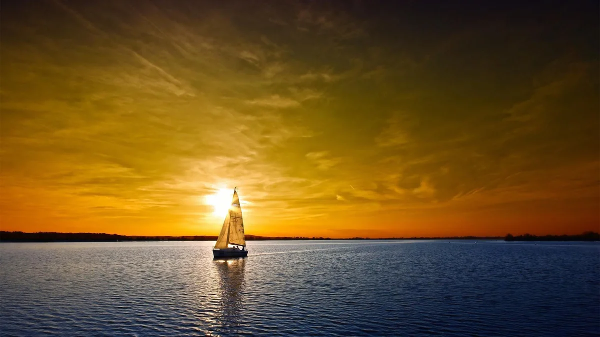 Câu chuyện thành thật-1.webp