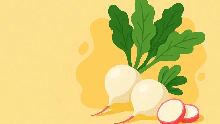 Củ cải trắng Loại củ quen thuộc giúp ổn định đường huyết mà ít ai ngờ tới-1.webp