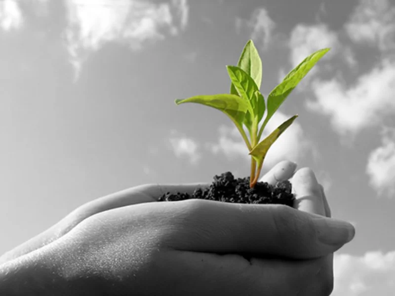 Giá trị của cuộc sống-1.webp