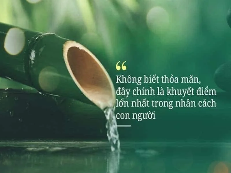 Lòng tham Một câu chuyện hay có ý nghĩa-1.webp