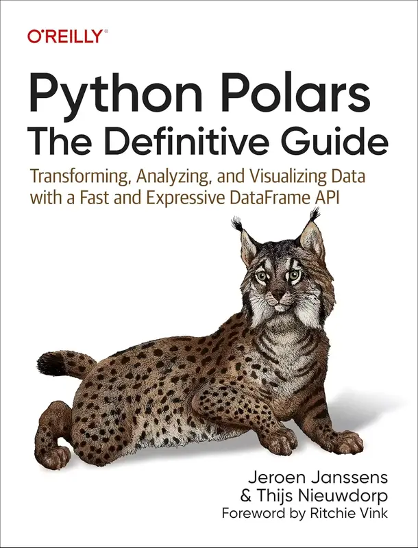 Python Polars The Definitive Guide True PDF.webp