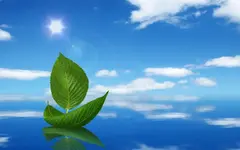 Bài học cuộc sống trường đại học không dạy bạn