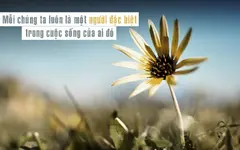 Điều học từ cuộc sống