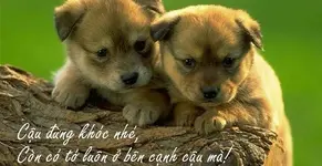 Bạn thân và người quen