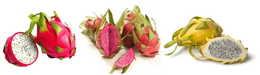 Lợi ích sức khỏe từ quả thanh long