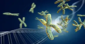 18 bí mật để sống lâu