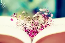 Những nếp nhăn hạnh phúc...