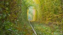 Chờ nhau nơi thiên đường