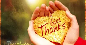 Cảm ơn em, người yêu cũ số...