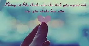 Anh yêu em, công chúa của anh