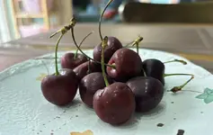 6 thực phẩm giàu melatonin giúp ngủ ngon