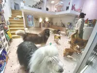 Gen Z Trung Quốc 'chữa lành' bằng video ngắn