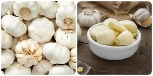 Ăn 2 tép tỏi sống mỗi ngày có tác dụng gì?