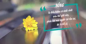 Ranh ngôn bỏ túi