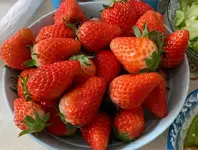 Mẹo rửa dâu tây đúng cách