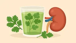 Bài thuốc giải độc thận từ thiên nhiên giúp lọc sạch cơ thể mỗi ngày