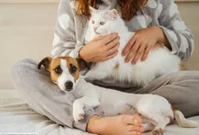 Những thói quen trước khi ngủ khiến bạn luôn cảm thấy hạnh phúc-4.webp