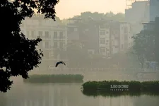 7 cách đơn giản giúp ngăn ô nhiễm không khí xâm nhập vào nhà