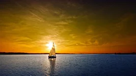 Câu chuyện thành thật-1.webp