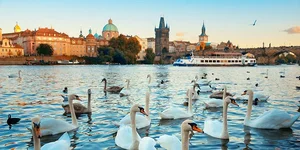 Ô cửa sổ bệnh viện