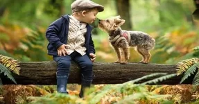 Phép lạ của lời nói dịu dàng-1.webp