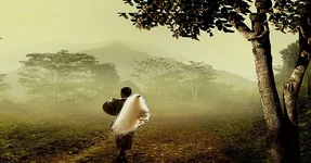 Bình thản trước thị phi của cuộc sống-1.webp