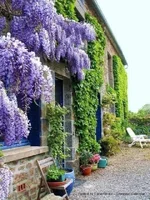 Bài học đắt giá cho kẻ lật lọng.webp